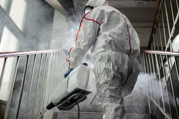 Mold Odor Removal Services in Moody, TX